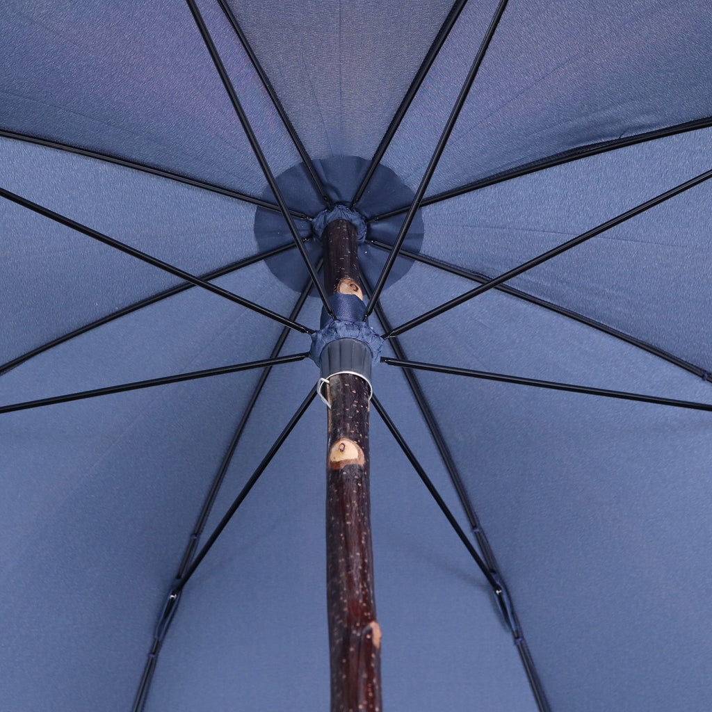 Castagno intero - Blue