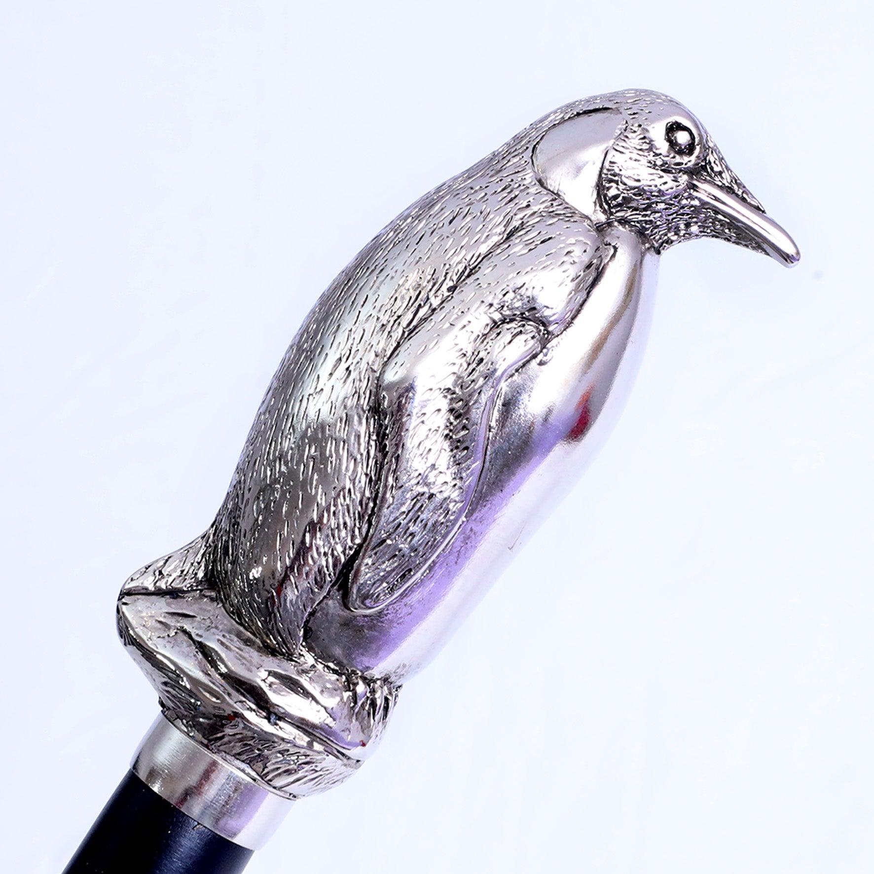 Calzante - Pinguino nickel