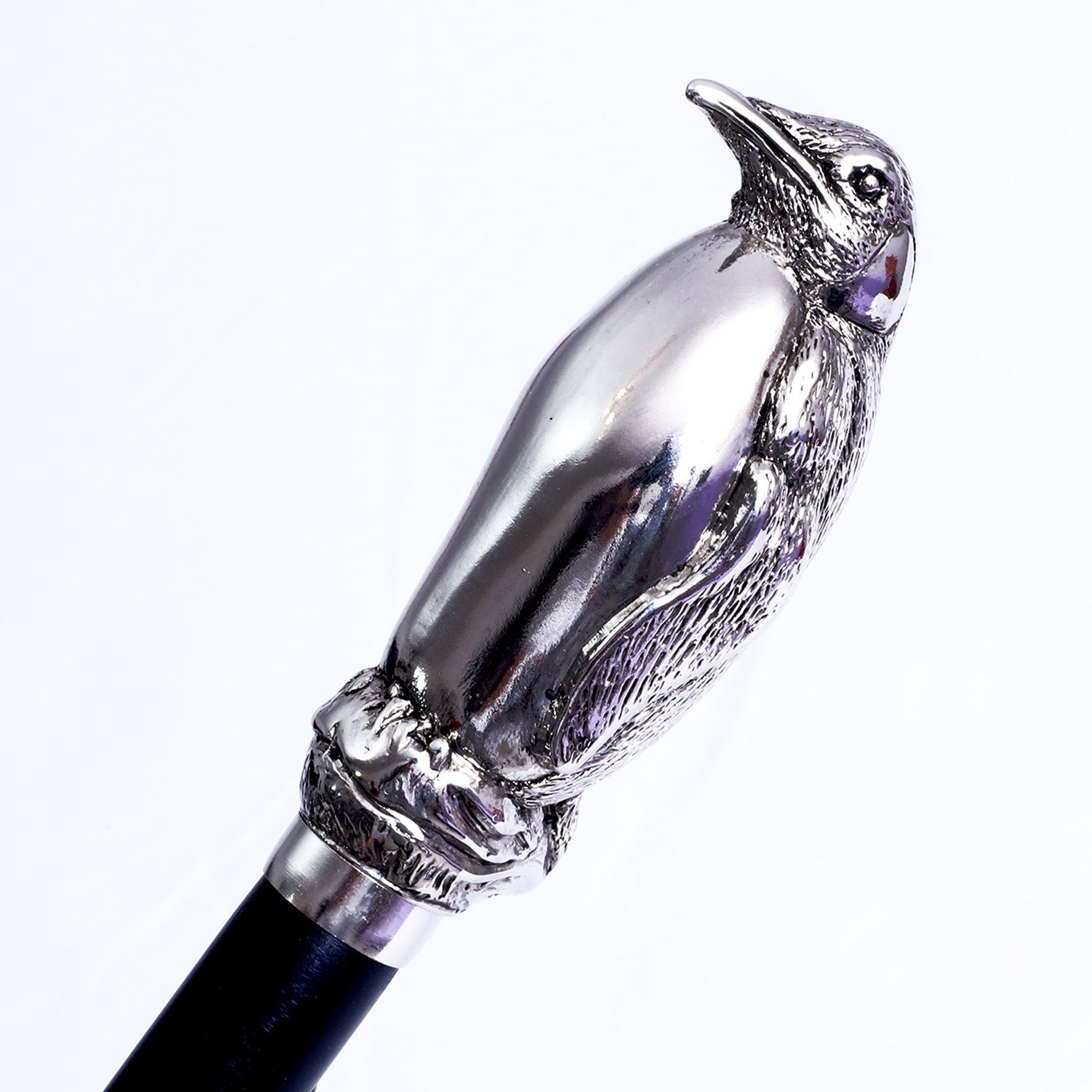 Calzante - Pinguino nickel