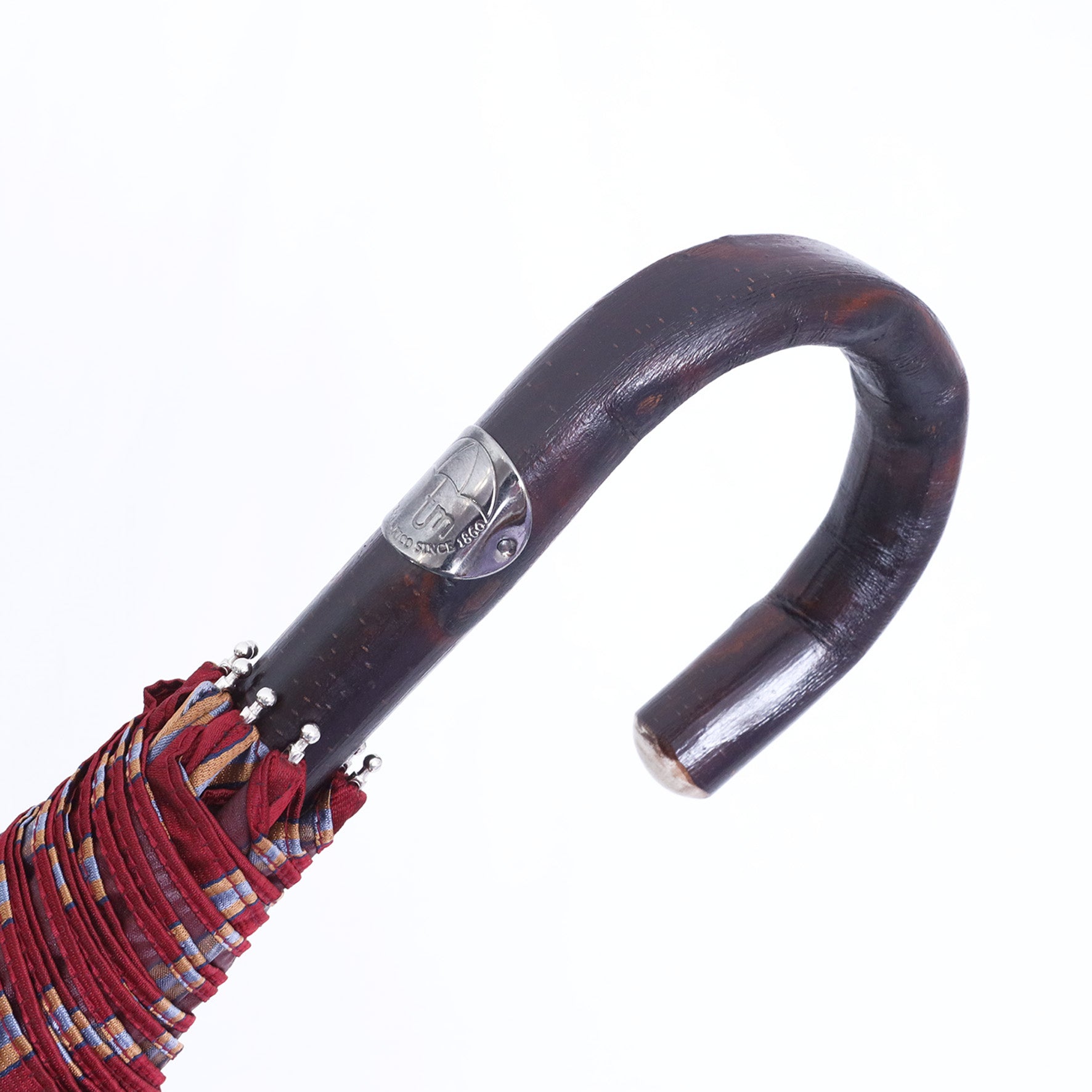 Castagno di Montella - Regimental 001