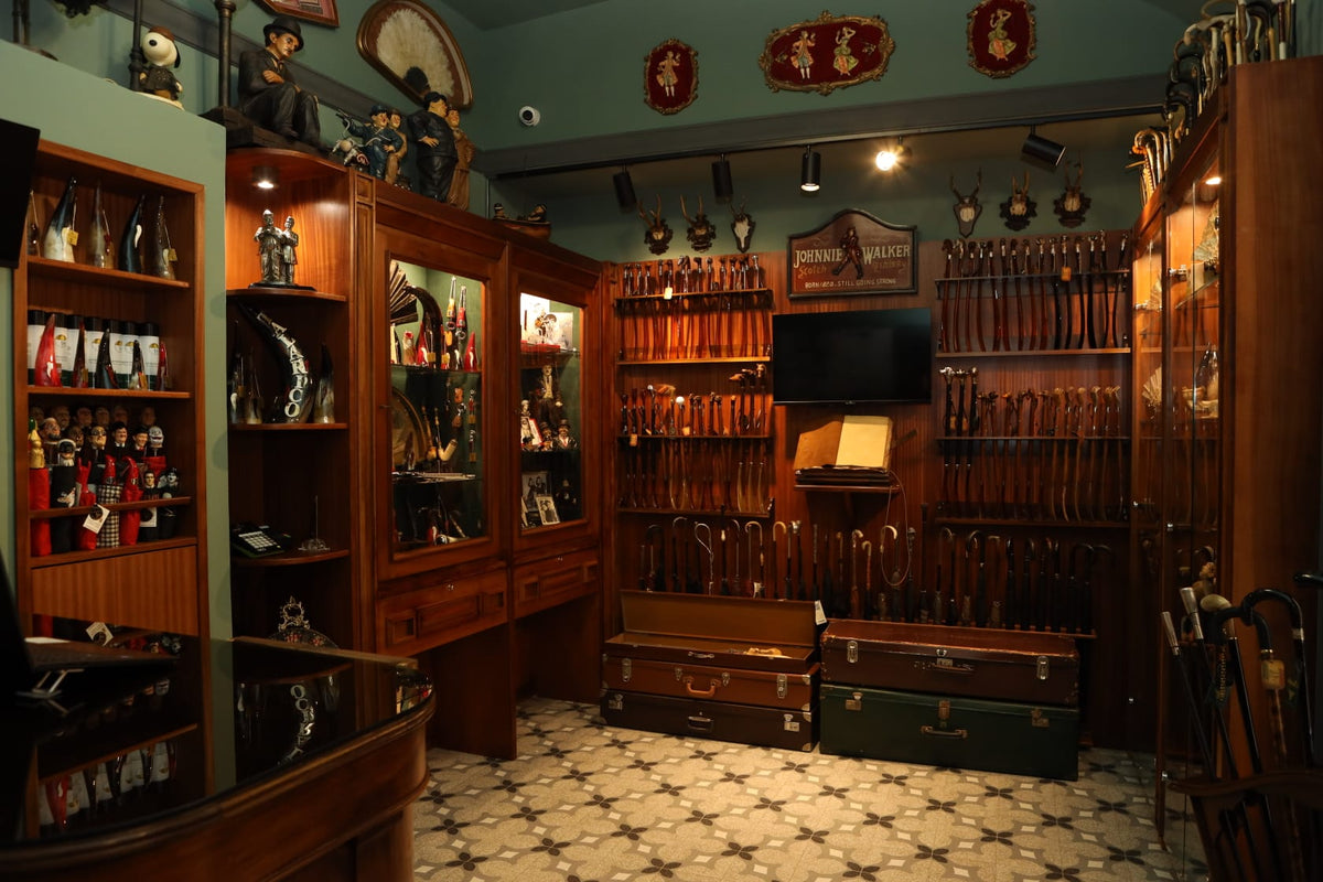 Immagine galleria