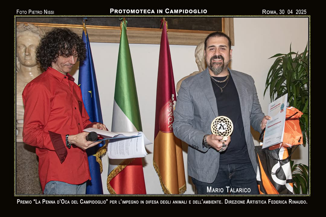 Immagine galleria