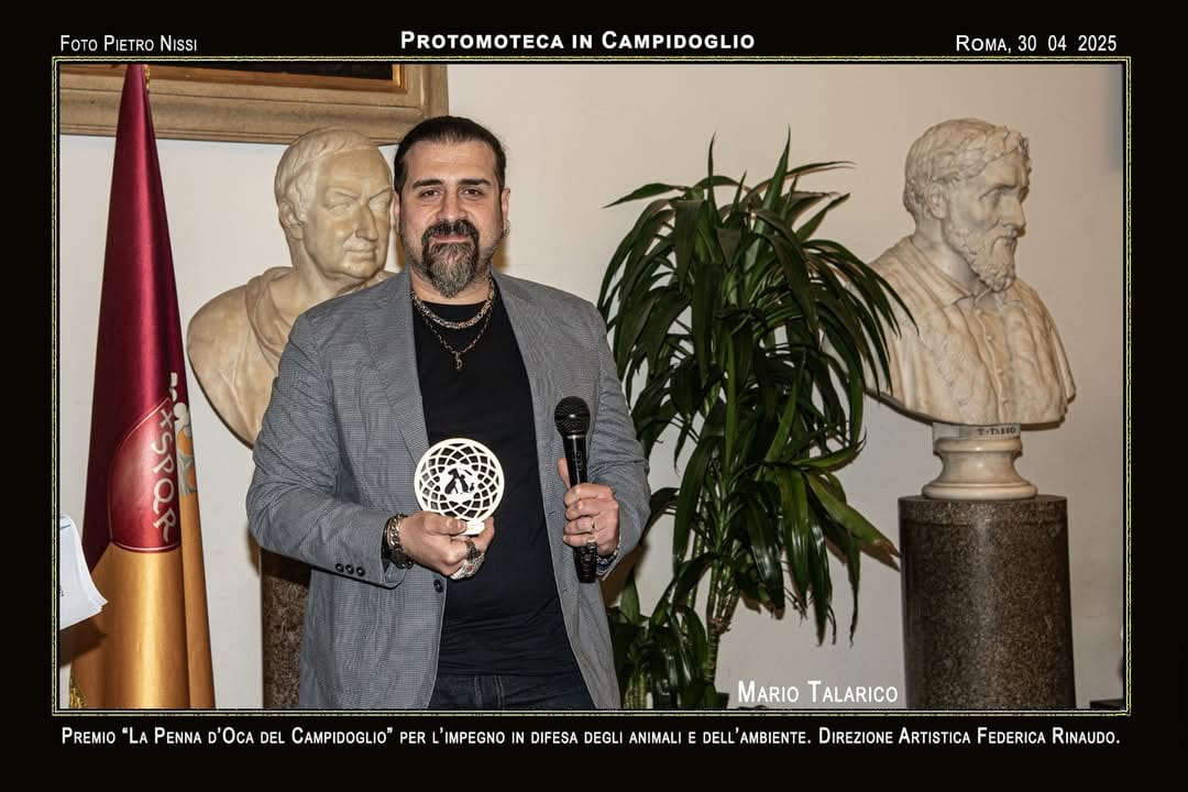 Immagine galleria